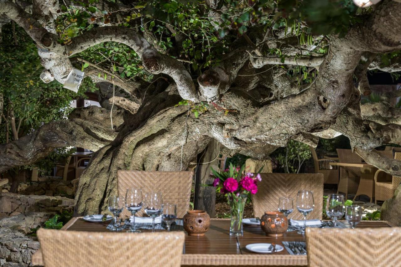 森可水疗中心酒店 萨奈特 外观 照片 The restaurant
