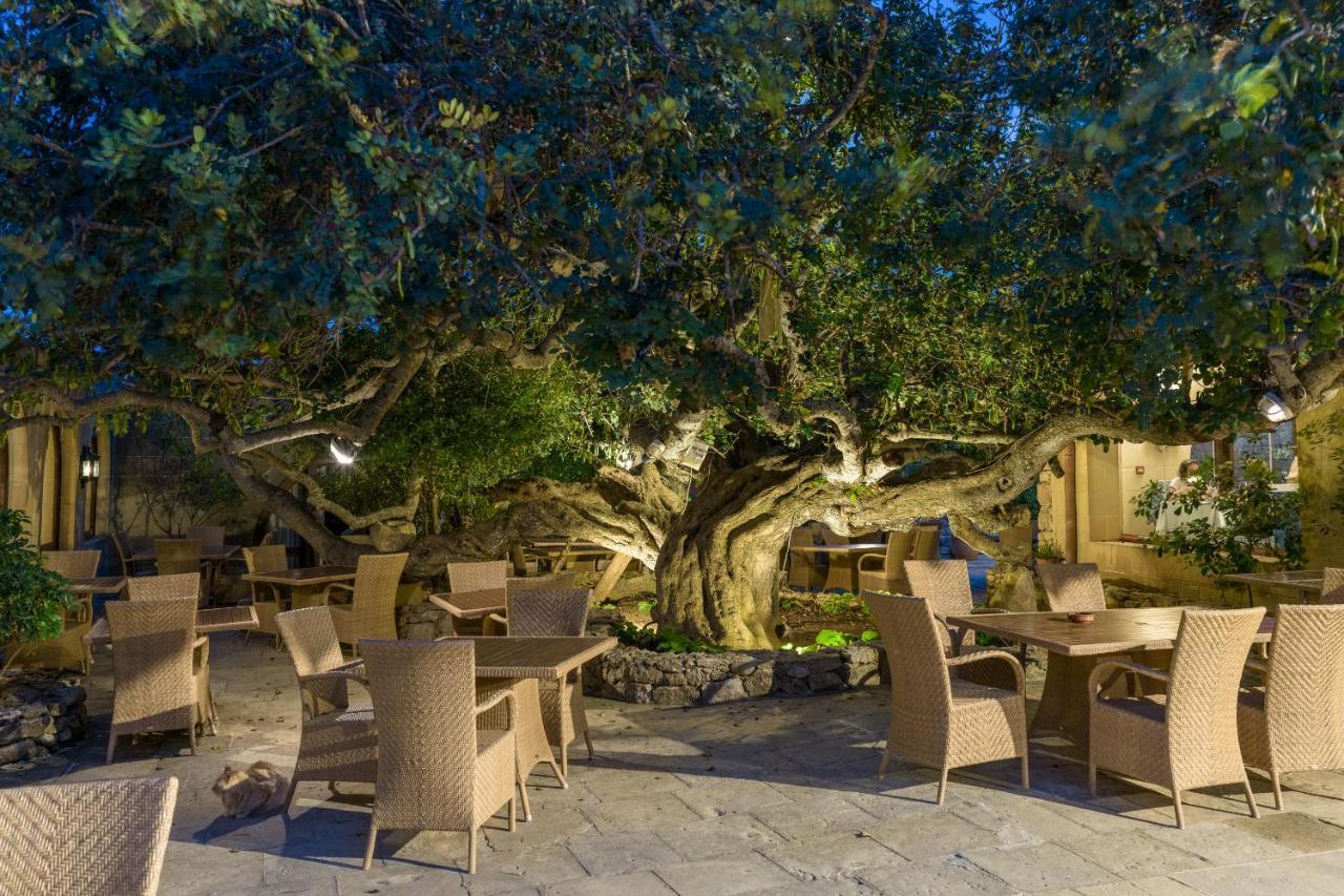 森可水疗中心酒店 萨奈特 外观 照片 The Banyan Tree at the Four Seasons Resort